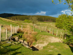 Blaencyffin tramway, May 2013